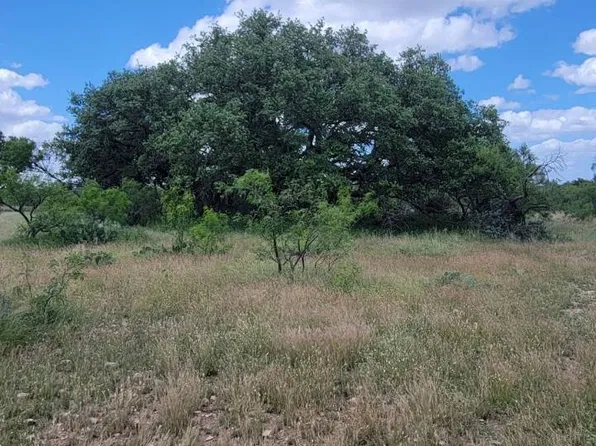 1001 Treadwell Ln, Menard, TX 76859