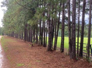 10373 Fox Ln, Lillian, AL 36549