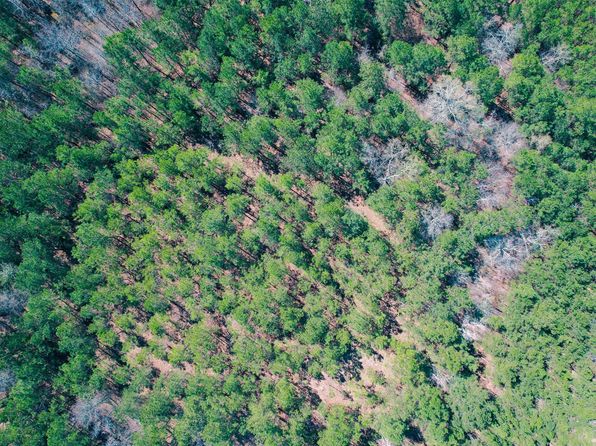 511 Moses Rd, Ridgeway, SC 29130
