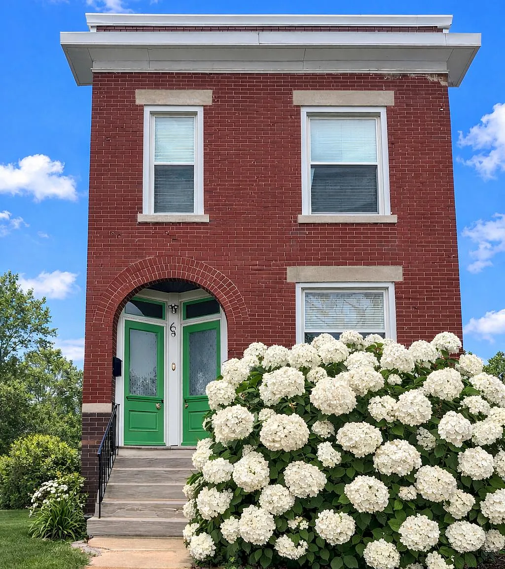 1 bed, 1000 sqft, $1,800 — Photo 1