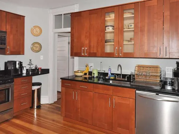 19 Bucknam St, Roxbury Crossing, MA