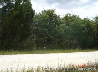 9488 Zebrafinch Ave, Weeki Wachee, FL 34614