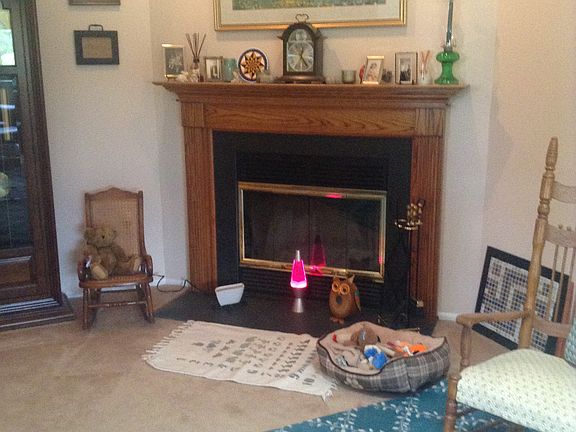 wood burning fire place