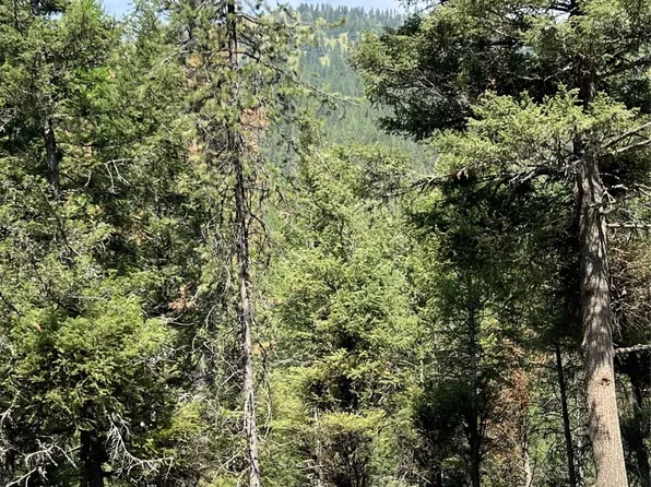 3347 Deer Creek Rd, Missoula, MT 59803