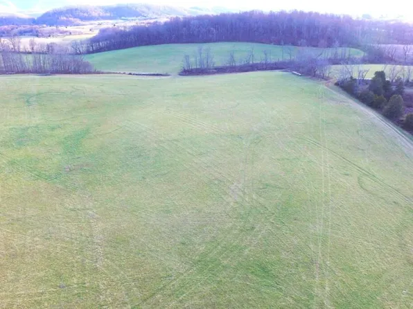 0 Prease Rd, Buchanan, VA 24066