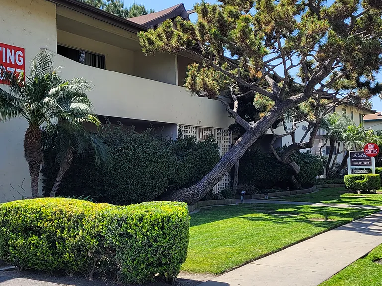 Palm Villa Apartments — Photo 17