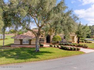 10008 Scarlett Ct, Weeki Wachee, FL 34613