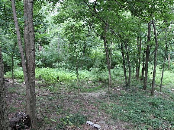 View from Bottom Deck