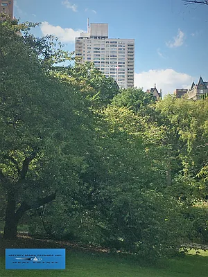 Rented by Jeffrey Mark Peckage Inc. | media 20