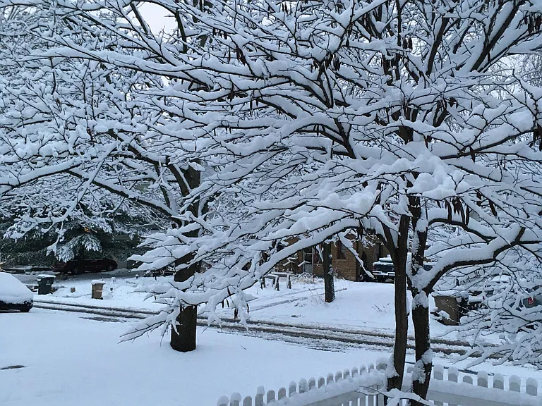 Quiet residential neighborhood right next to South West bike trail