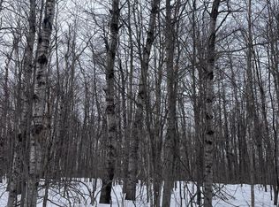 LOT 346 Grove St, Elmira, MI