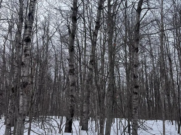 LOT 346 Grove St, Elmira, MI 49730