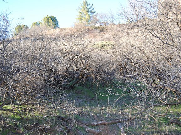 3rd image of 10925 E Oak Creek Cir