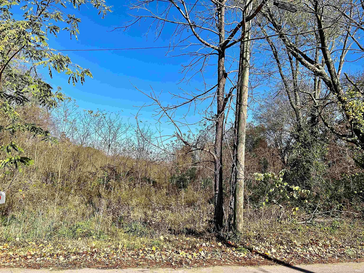 6.77 / Acres W Old State Rd #60 photo 1