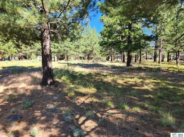 Hollywood Way, Susanville, CA 96130