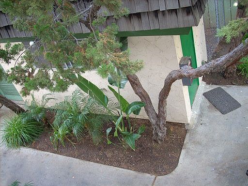 3rd image of 770 S Magnolia Ave APT 14