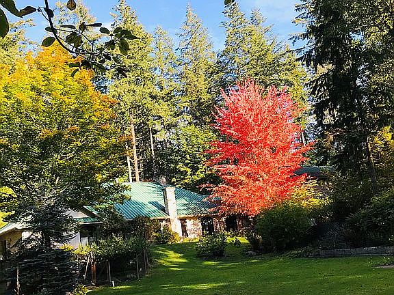 3rd image of 16400 216th Ave NE
