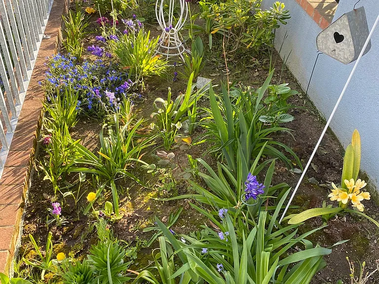 Studio Cottage Garden