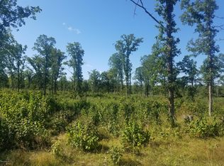 32393 450th St, Cass Lake, MN 56633