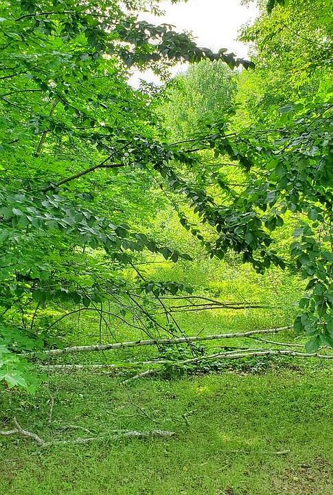 2nd image of Lot 6 Sanborn Hill Road