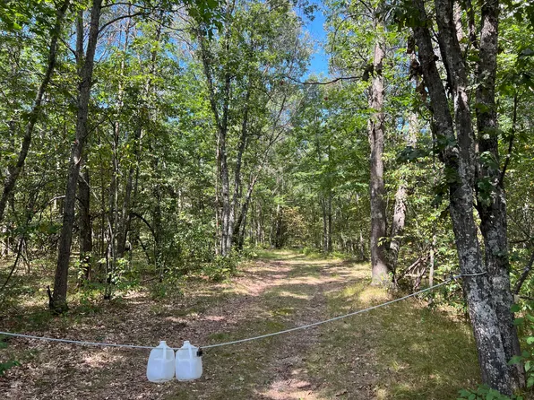 582 Snyder Rd, Wellston, MI 49689