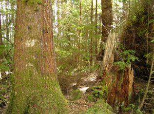 29 Three Rivers Rd, Forks, WA 98331