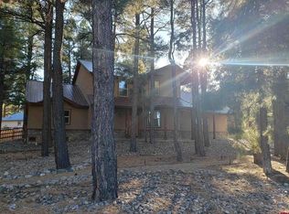 486 N Pagosa Blvd, Pagosa Springs, CO 81147