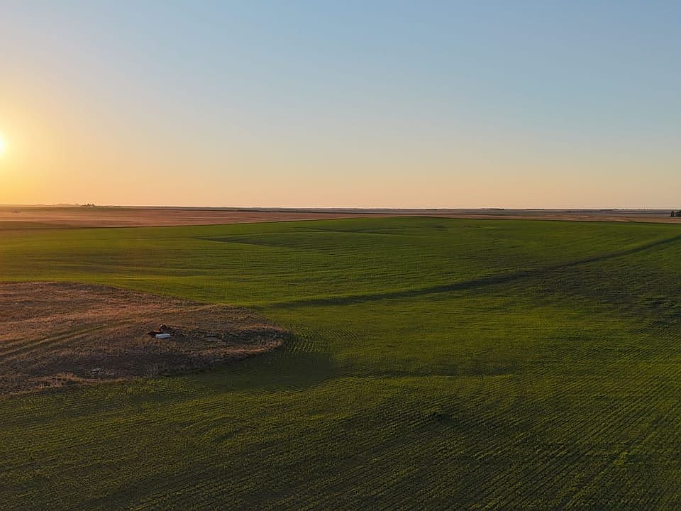 Dji Fly 20260705 195738 0970 1783377943575 Photo