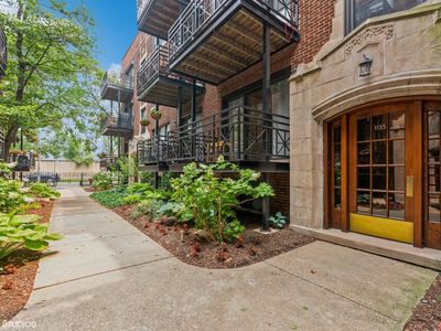 1135 W Grace St APT 1N, Chicago, IL, 60613