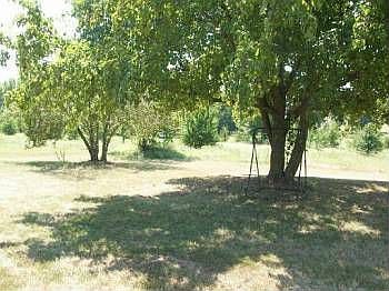 2nd image of 7419 Ivy Ln