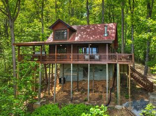 40 Joanna Ct, Cherry Log, GA 30522