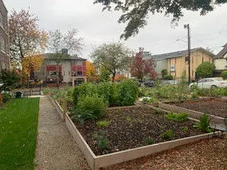 El Nor — Photo 3