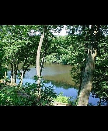 4th image of 48 North Dr