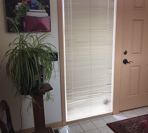 2nd image of 228 Tumbleweed Dr
