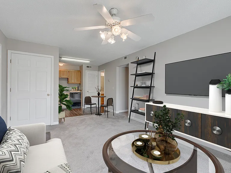 Spacious living Room