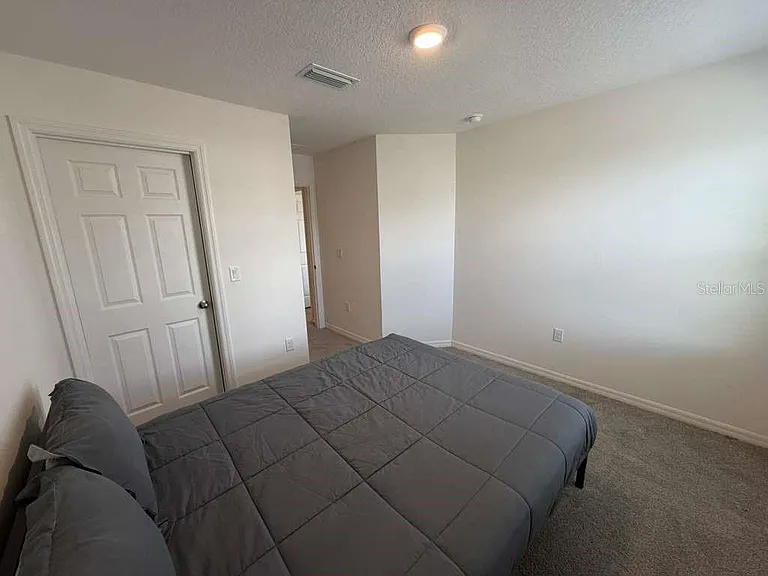 1239 Sand Torch Cir — Photo 42