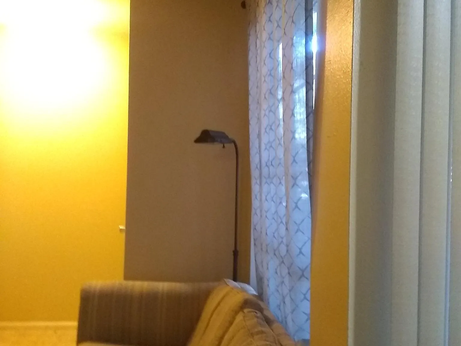 2 bed, 770 sqft, $1,200 — Photo 2