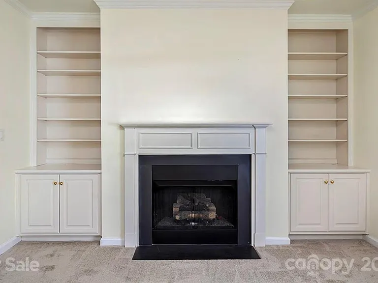Gas Fire Place