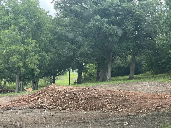 Forgiveness Ln, Harrison, AR 72601