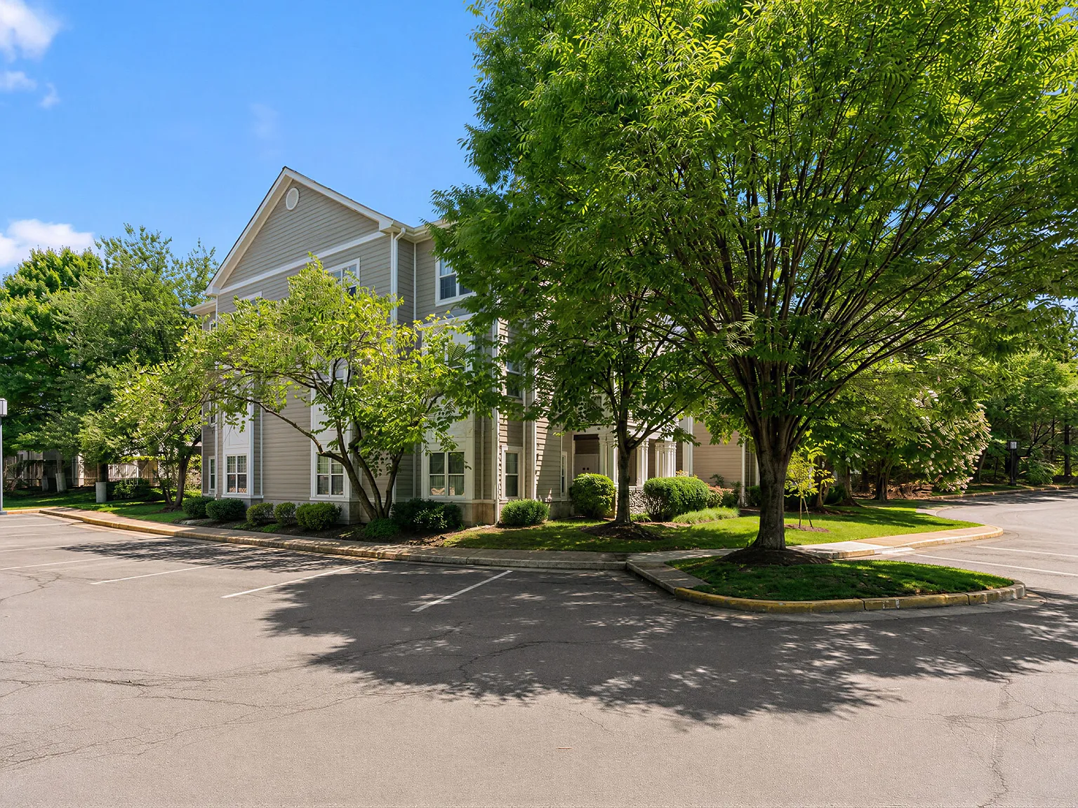1701 Lake Shore Crest Dr — Photo 2