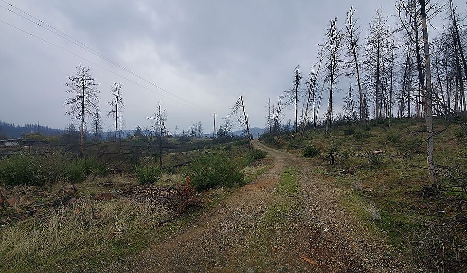 1st image of Iola Dr