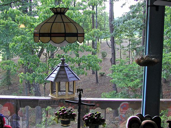 Family Room Views