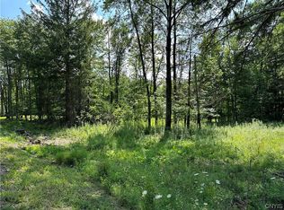 0 Alexandria St #63, Carthage, NY 13619