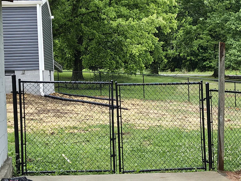 Back yard.