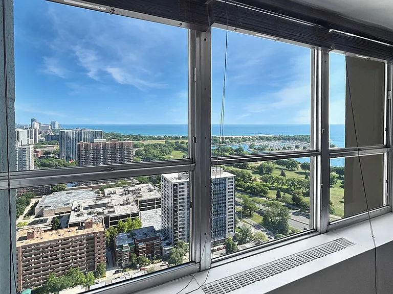 655 W Irving Park Rd #3608 — Photo 9