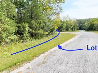 308 Pinocchio Dr, Horseshoe Bend, AR 72512