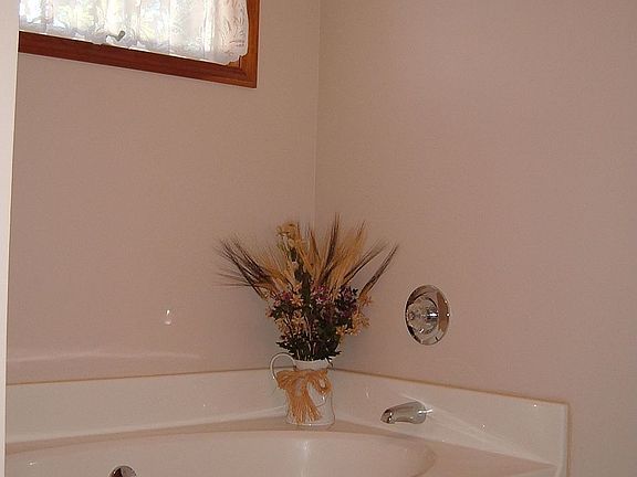 Master Bath Garden Tub