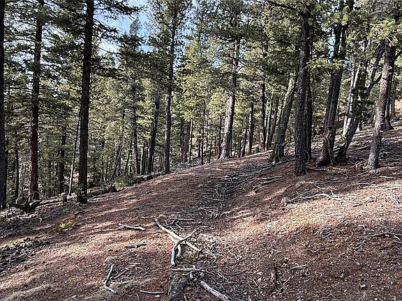 3rd image of 461 Paradiso Road