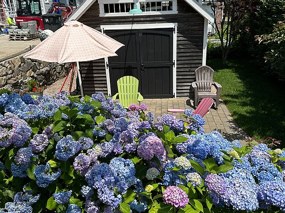 Back patio