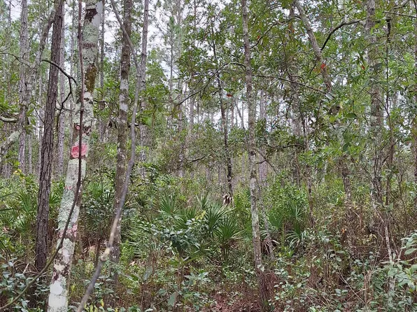 0 E DON QUIXOTE Street, Palatka, FL 32177